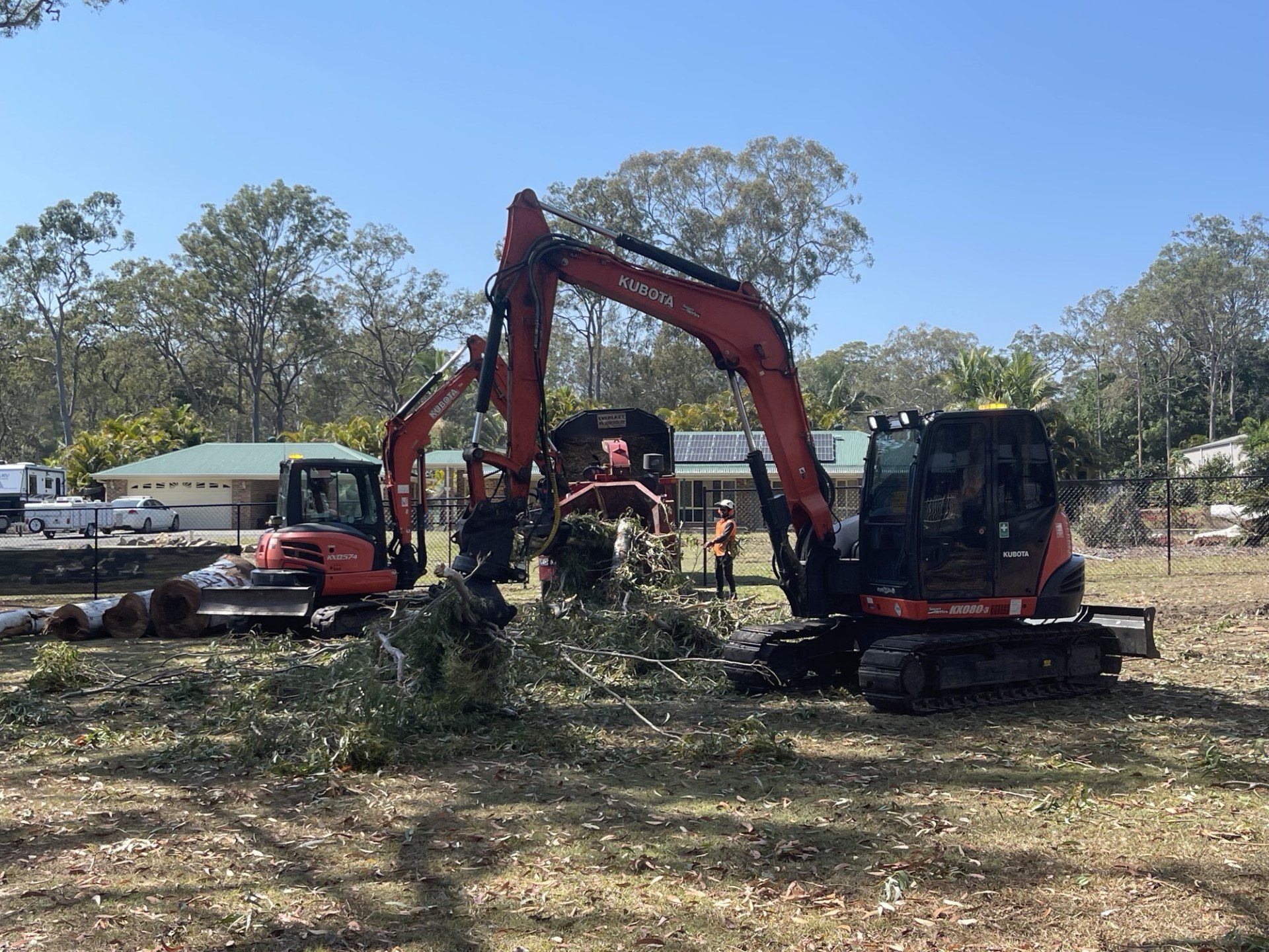 Professional arborist safely performing tree lopping in Brisbane with specialized equipment.