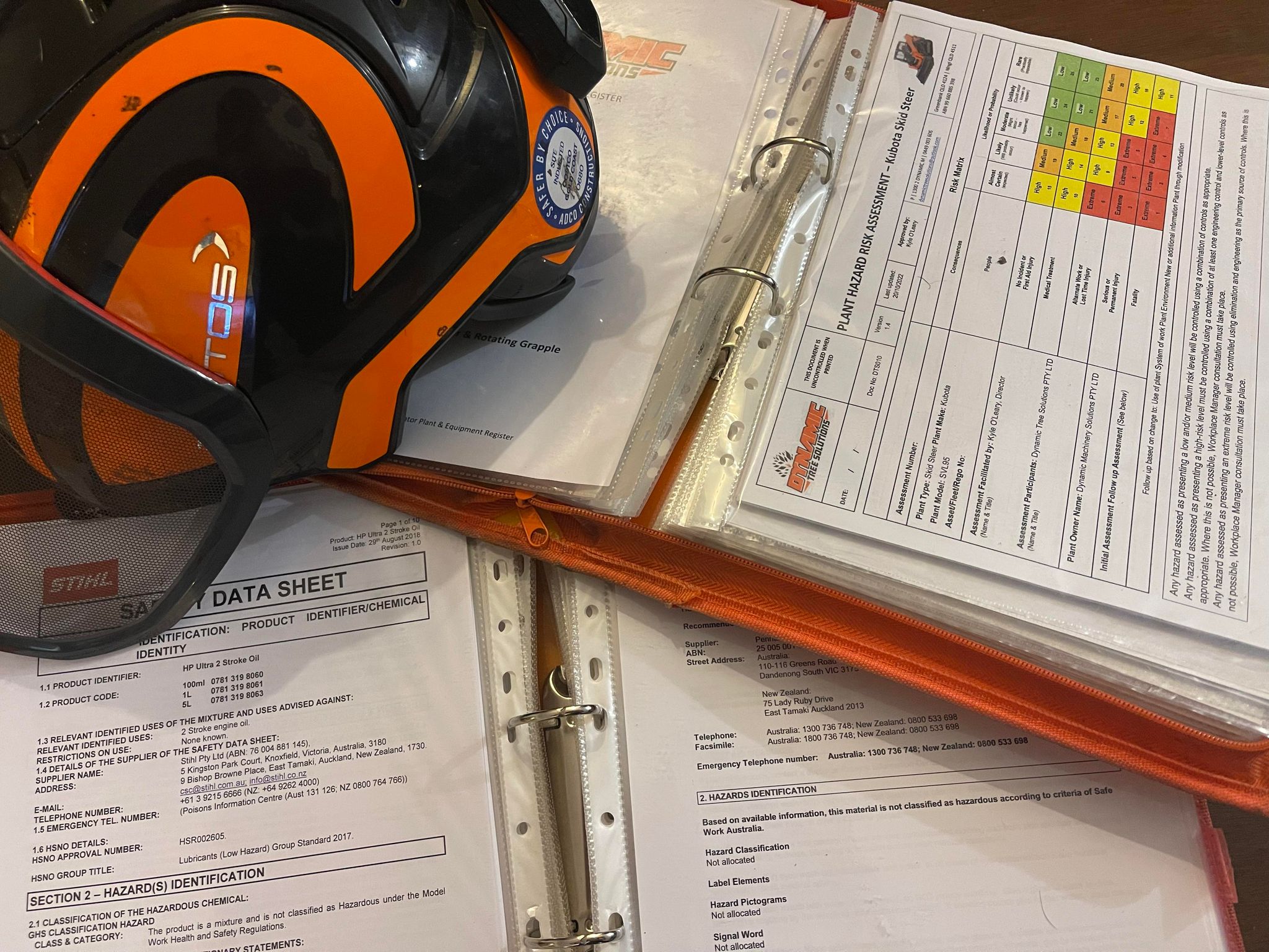 Urban landscape featuring healthy, well-maintained trees along city streets, showcasing the impact of professional arborist consultations.