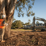 Arborist assessing eucalyptus tree on construction site before site clearing begins